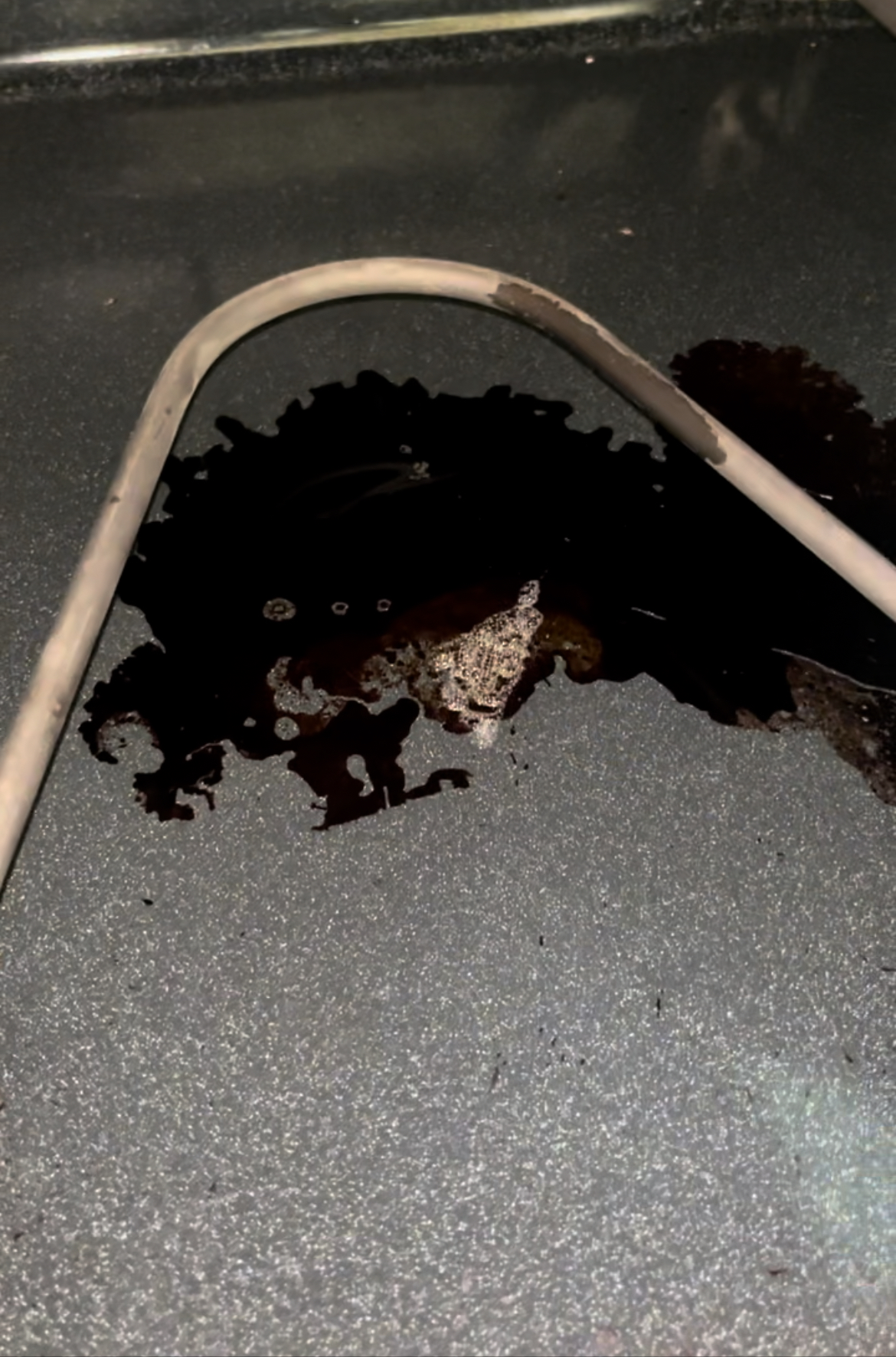 Before: kitchen - messy countertops